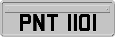 PNT1101