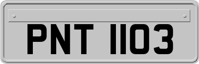PNT1103
