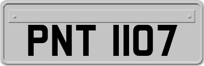PNT1107