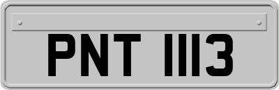 PNT1113