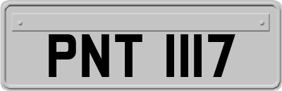 PNT1117