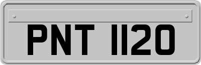 PNT1120