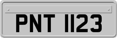 PNT1123
