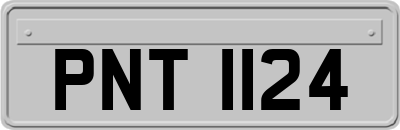PNT1124