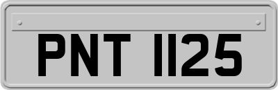 PNT1125