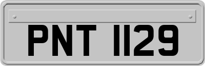 PNT1129
