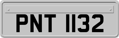 PNT1132