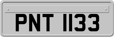 PNT1133