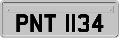 PNT1134