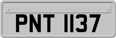 PNT1137