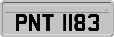 PNT1183
