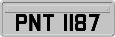 PNT1187
