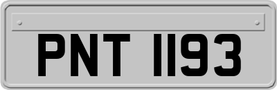 PNT1193