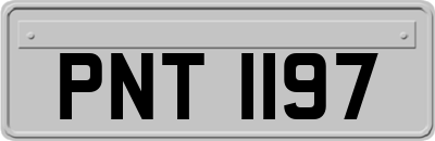 PNT1197