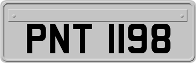 PNT1198