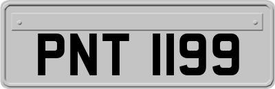 PNT1199