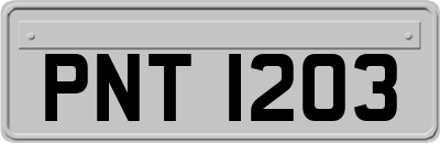 PNT1203