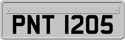 PNT1205