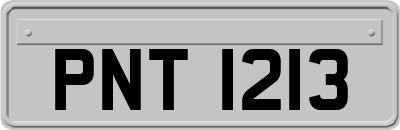 PNT1213