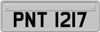 PNT1217