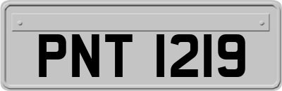 PNT1219