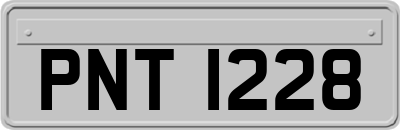 PNT1228