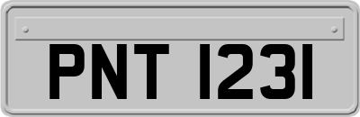 PNT1231