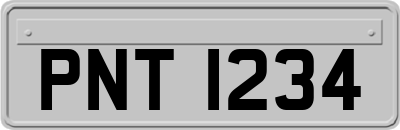 PNT1234