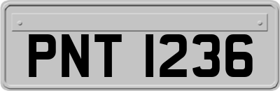 PNT1236