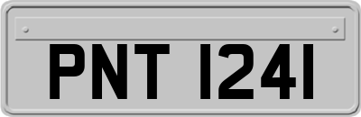 PNT1241
