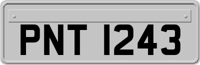 PNT1243