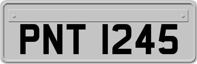 PNT1245