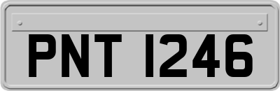 PNT1246