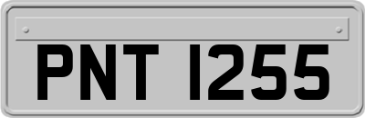 PNT1255