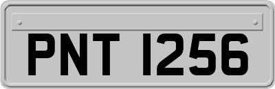 PNT1256