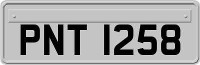 PNT1258