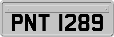 PNT1289