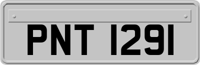 PNT1291