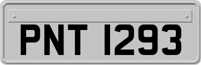 PNT1293