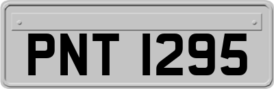 PNT1295