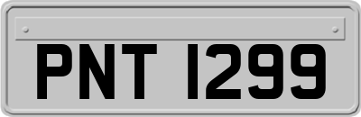 PNT1299
