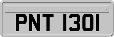 PNT1301