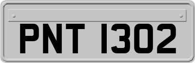 PNT1302