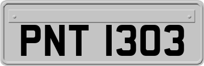 PNT1303