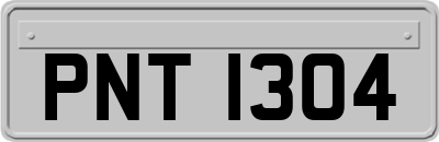 PNT1304