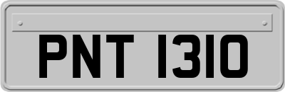 PNT1310
