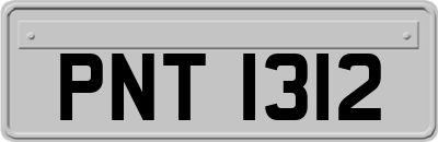 PNT1312