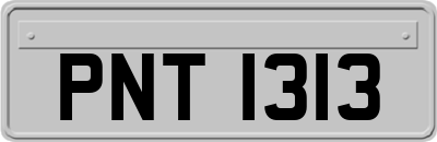 PNT1313