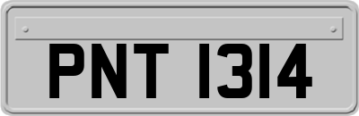 PNT1314