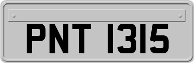 PNT1315